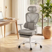HOMCOM Chaise bureau ergonomique, fauteuil de bureau avec soutien lombaire dynamique adaptatif, 73x75x120-128cm, gris(m-7)