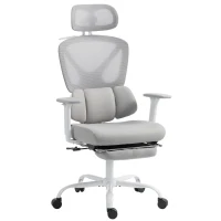 HOMCOM Chaise bureau ergonomique, fauteuil de bureau avec soutien lombaire dynamique adaptatif, 73x75x120-128cm, gris(m-1)