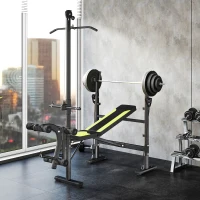 HOMCOM Multifunktionsbank Fitnessstation mit 3-fach verstellbarer Rückenlehne, Beinstütze und oberer Stange, 175x110x202cm, Schwarz(m-6)