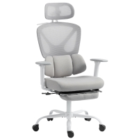 HOMCOM Silla de Oficina Ergonómica Sillón de Oficina con Soporte Lumbar Dinámico Adaptativo 73x75x120-128 cm Gris