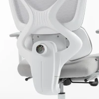 HOMCOM Cadeira de escritório ergonômica com suporte lombar dinâmico adaptativo, 73x75x120-128cm, cinza(m-8)