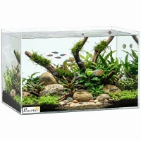 PawHut Fish Tank Bare Glass for DIY Glass Aquarium with Protective Base Mat 24L Transparent for Fish Shrimps(m-15)