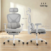 HOMCOM Scaun de birou ergonomic, fotoliu de birou cu suport lombar dinamic adaptiv, 73x75x120-128cm, gri(m-3)