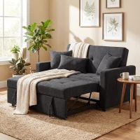 HOMCOM Loveseat Sofa Bed, Convertible Bed Settee with 2 Pillows, Side Pockets, Black(m-10)