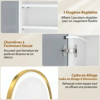 HOMCOM Armoire murale salle de bain avec miroir et éclairage LED, porte ovale, anti-buée, 50x14,5x70cm, doré(m-7)