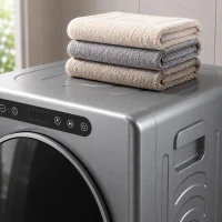 HOMCOM Uscător cu evacuare 5kg, uscător compact independent tip încărcare frontală 1000W cu tambur din oțel inoxidabil, timer, argintiu(m-13)