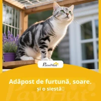 PawHut Căsuță rezistentă la intemperii cu acoperiș rabatabil, podea detașabilă și intrare pentru 1-2 pisici până la 12 kg 85x55x70 cm gri deschis(m-8)