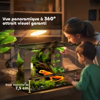 PawHut Boîte à reptiles, boîte d'élevage de reptiles, fermeture sécurisée par rotation, ventilation frontale, 50x30x35cm, noir(m-6)