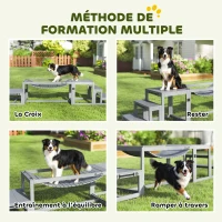 PawHut Équipements d'entraînement agilité pour chien kit d'équipement d'agilité pour chien 3 pièces en bois massif gris(m-5)