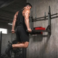 SPORTNOW Stație 2 în 1 de Perete, Tracțiuni și Dip, 200 Kg, Roșu(m-6)