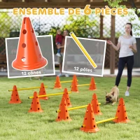 PawHut Ensemble d'Agilité pour Chien 6 Pièce, Parcours d'Obstacle hauteur réglable avec Sac de Transport, Orange(m-4)