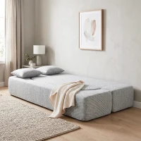 HOMCOM 2 em 1 Sofá Cama 2 Lugares com 2 Almofadas Removíveis, Braços, Assento Estofado, em Chenille, Cinza Claro(m-6)