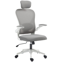 HOMCOM Bürostuhl Ergonomischer Schreibtischstuhl mit Hochklappbaren Armlehnen, Verstellbarer Lendenwirbelstütze Grau