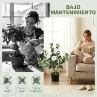 HOMCOM Planta Artificial de Camelia 65cm Árbol Artificial en Maceta con Flores de Seda Realistas 116 Hojas Efecto Musgo Blanco(m-5)