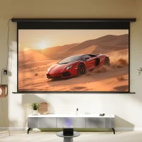 HOMCOM Tela de projeção, formato 16:9, controle remoto, 266 x 149 cm (304,8 cm), preto(m-4)