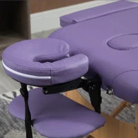 HOMCOM 2 Section Massage Table Bed Couch Portable Beauty Bed Lightweight Folding Therapy Bed Purple(m-11)
