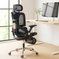 HOMCOM Ergonomischer Bürostuhl mit 4D-Armlehnen, verstellbarer Kopfstütze und Sitztiefe, Netz, Schwarz(m-6)