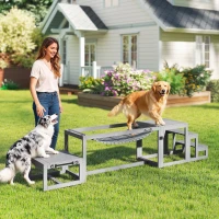 PawHut Équipements d'entraînement agilité pour chien kit d'équipement d'agilité pour chien 3 pièces en bois massif gris(m-10)