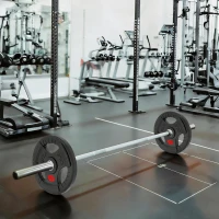 SPORTNOW Disques de Poids en Acier 20 kg, Finition PVC, Plaques de Poids 2 x 10 kg, 3 Poignées, Trous de Ø 50 mm, Noir(m-2)