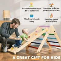 AIYAPLAY Gioco da Arrampicata con Triangolo e Pannello Scivolo ed Arrampicata, per Bambini 18-48 Mesi, Multicolore(m-8)