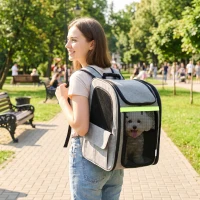 PawHut Hundebox erweiterbar Transportbox Hund mit 5 Taschen reflektierendem Streifen für Hunde bis 10 kg 33,5x28x42cm Hellgrau(m-10)