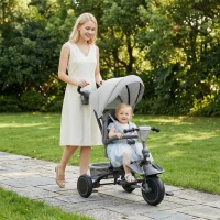 AIYAPLAY Kinderdreirad, 6-in-1 Buggy voor Kleuters, met Duwstang, Verstelbare Zitting, Vouwbaar Ontwerp, Veiligheidsnet, Grijs(m-2)