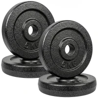 SPORTNOW Weight Plates Set, 1"/2.5cm Weight Disc Pair, 4 x 5kg Metal Dumbbell/Barbell Plates for Home Gym(m-1)