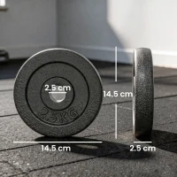 SPORTNOW Weight Plates Set, 1"/2.5cm Weight Disc Pair, 4 x 2.5kg Metal Dumbbell/Barbell Plates for Home Gym(m-3)
