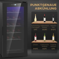 HOMCOM Wijnkoelkast, Stil, 5-18°C, Touchscreen, Verlichting, 34,5x45x78cm, Zwart(m-6)