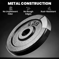 SPORTNOW Weight Plates Set, 1"/2.5cm Weight Disc Pair, 4 x 5kg Metal Dumbbell/Barbell Plates for Home Gym(m-6)