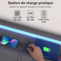 HOMCOM Lit coffre 140x190cm éclairage LED et station de charge cadre de lit double rembourré lin rangement hydraulique gris(m-6)