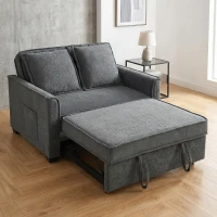 HOMCOM Sofá Cama 2 Plazas 3 en 1 con Respaldo Ajustable Bolsillos Laterales 2 Almohadas para Sala de Estar Gris Oscuro(m-9)