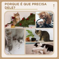 PawHut Arranhador para Gatos Pequenos Altura 42 cm Arranhador para Gatos com Cama Bolas Supensas e Postes de Juta 48x38x42 cm Cinza(m-6)