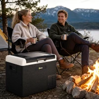 Outsunny 40L Portable Car Refrigerator - Grey and Black(m-8)