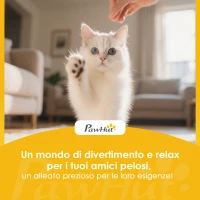 PawHut Gabbia per Gatti Recinto Personalizzabile 3 Livelli, 105cm, Nero(m-9)