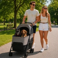 PawHut Pet Stroller, Foldable Dog Cat Stroller with Detachable Carrier, Wheels, Storage Basket, Secure Leash(m-2)