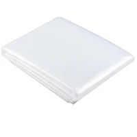 Outsunny Învelitoare de schimb pentru seră 6x10 m, folie pentru sere tip tunel din PE anti-UV și impermeabilă, transparentă(m-1)