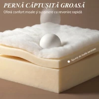 HOMCOM Canapea Extensibilă 2 în 1, 2 Locuri, cu 2 Perne Detașabile, Brațe Laterale, Șezut Tapițat, Chenille, Gri Deschis(m-5)