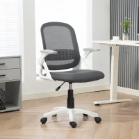 HOMCOM Atmungsaktiver Mesh-Bürostuhl, Ergonomischer Drehstuhl mit klappbaren Armlehnen und Lendenwirbelstütze, Grau(m-10)