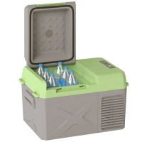 Outsunny 12 liter compressor koelbox elektrische koelbox met aansluiting koelhoudfunctie Grijs+Groen(m-15)