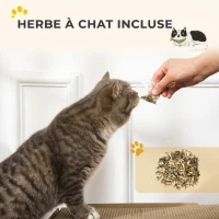 PawHut Griffoir pour Chat 2 en 1 en Forme de Téléviseur, Maison et Tapis à Griffer en Carton Ondulé, 39x29x37cm, Marron(m-7)