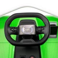 AIYAPLAY 24V Electric Go Kart for Kids with Drift Mode, 300W Brushless Motor, Soft Start and Dual Speed for Ages 6-10, Green(m-11)