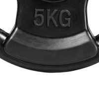 SPORTNOW Halterschijf, 2-delige set, 5 kg per schijf, drie handgrepen, vloerbeschermende rubberen coating, Metaal(m-10)