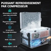Outsunny Réfrigérateur de Voiture à Compression 42,5 L avec Contrôle via Application, -20 °C à 20 °C, Vert(m-4)