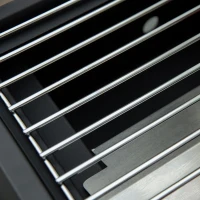 Outsunny tafelgrill gasgrill BBQ met 2 branders mobiele grillwagen grillnet klein buitentafel gasgrill picknick met reduceerslang RVS zwart 55 x 46.5 x 41 cm(m-10)