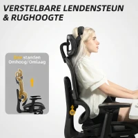 HOMCOM Bureaustoel, Ergonomische Bureaustoel met Mesh Bekleding, Verstelbaar, Rolbaar, met Armleuningen, Hoofdsteun, Zwart(m-8)