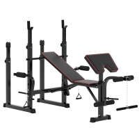SPORTNOW Banco de Musculação Dobrável Banco Multifunções com Suportes para Barras e Encosto Ajustável para Treino Completo de Corpo Preto