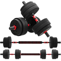 HOMCOM Juego de Mancuernas de 25 kg 2 en 1 de Dumbbell con Barras Conexión y Barra de Extensión Entrenamiento de Fuerza y Levantamiento de Pesas Negro(m-1)