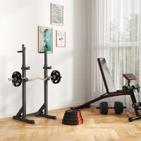 SPORTNOW Kit Pesi con 2 Dischi da 7.5 kg e 2 Dischi da 5 kg in Polipropilene e Sabbia, Ø30x5.5 cm e Ø27x4.5 cm, Nero(m-8)
