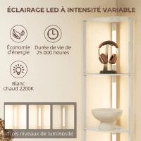 HOMCOM Lampadaire sur Pied Salon, Lampadaire avec Étagères d'Angle à 4 Niveaux, Lampe LED Dimmable, 41x29,5x163,5cm, Chêne(m-5)